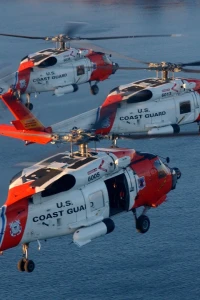 Выживший (2025)